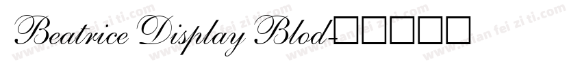 Beatrice Display Blod字体转换